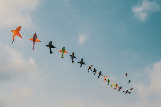 festival of kites