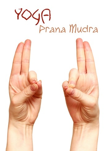 Mudra's In Yoga | Yoga Mudra and its Importance | Praana Mudra