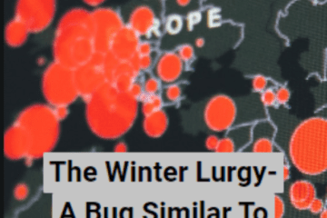 winter lurgy- bug like covid